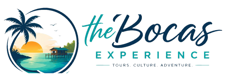 The Bocas Experience